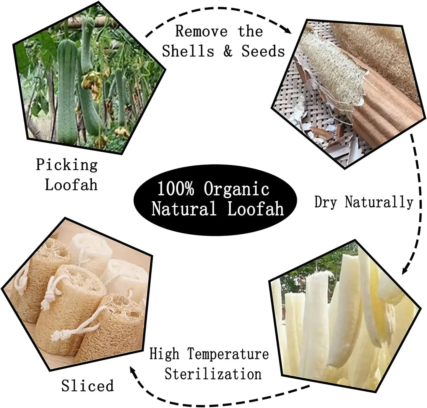 100% Natural Loofah Exfoliating Body Sponge